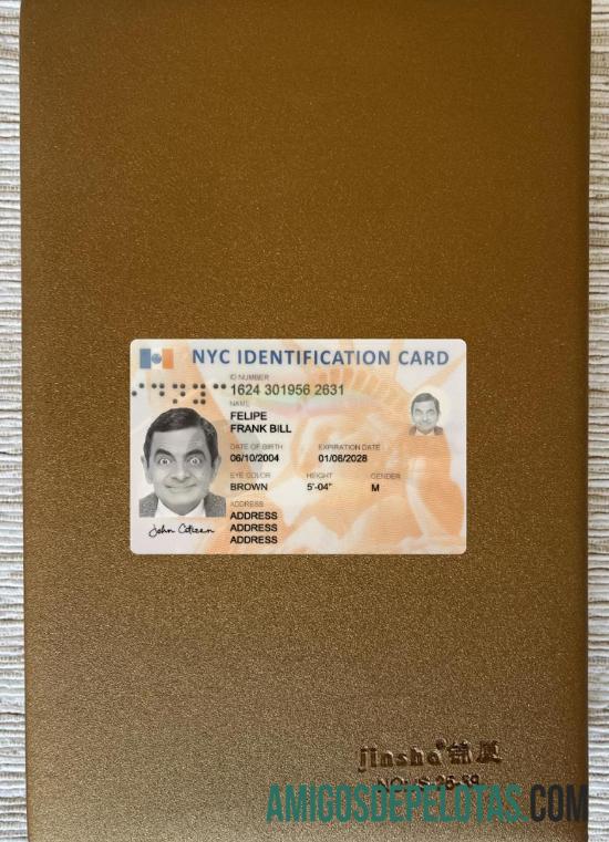 USA New York Identification Card olhar de foto frente amostra